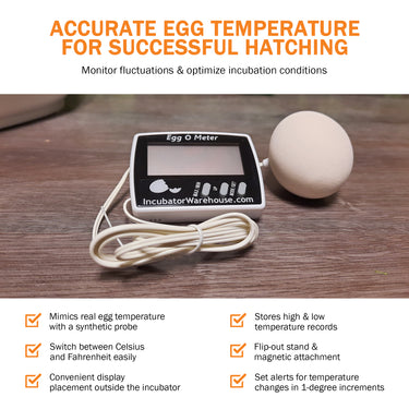 Egg-O-Meter™ | Egg Incubator Hatching Thermometer - A Better Egg Thermometer